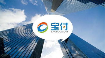 寶付支付 深耕通信電商領域，攜手行業巨頭共繪新藍圖